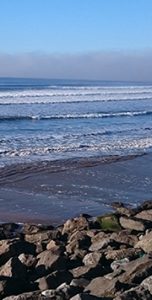 Företagstjänster - Tom during