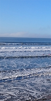 Bolagsrätt - Tom During